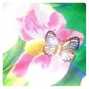 🌹Butterfly Brooch